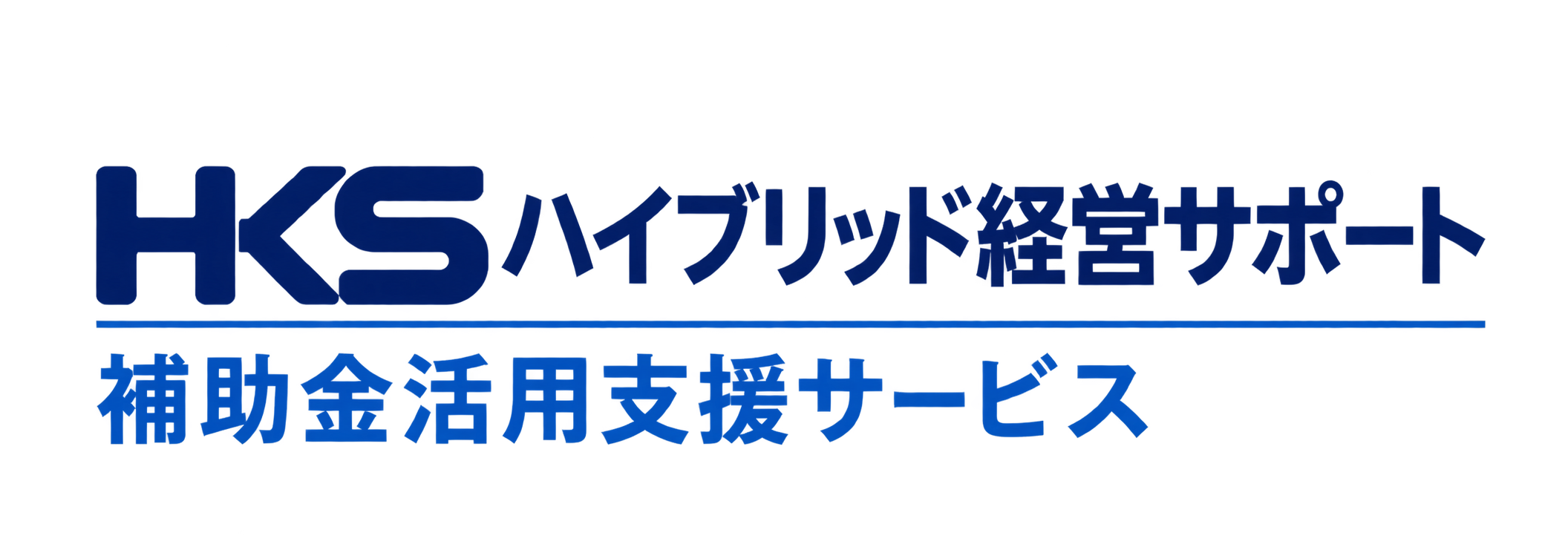 ハイブリッド経営サポート株式会社 補助金活用支援サービス